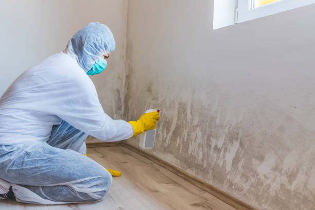 Licensed Mold Testing service in Gates, NC - WQB Mold Removal