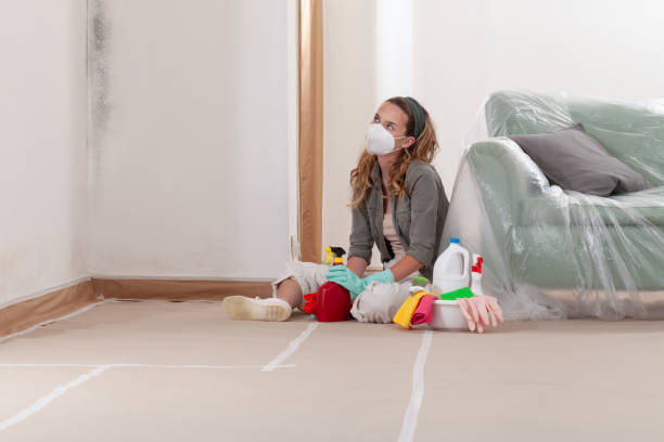 Reliable Mold Testing contractor in Gates, NC by WQB Mold Removal